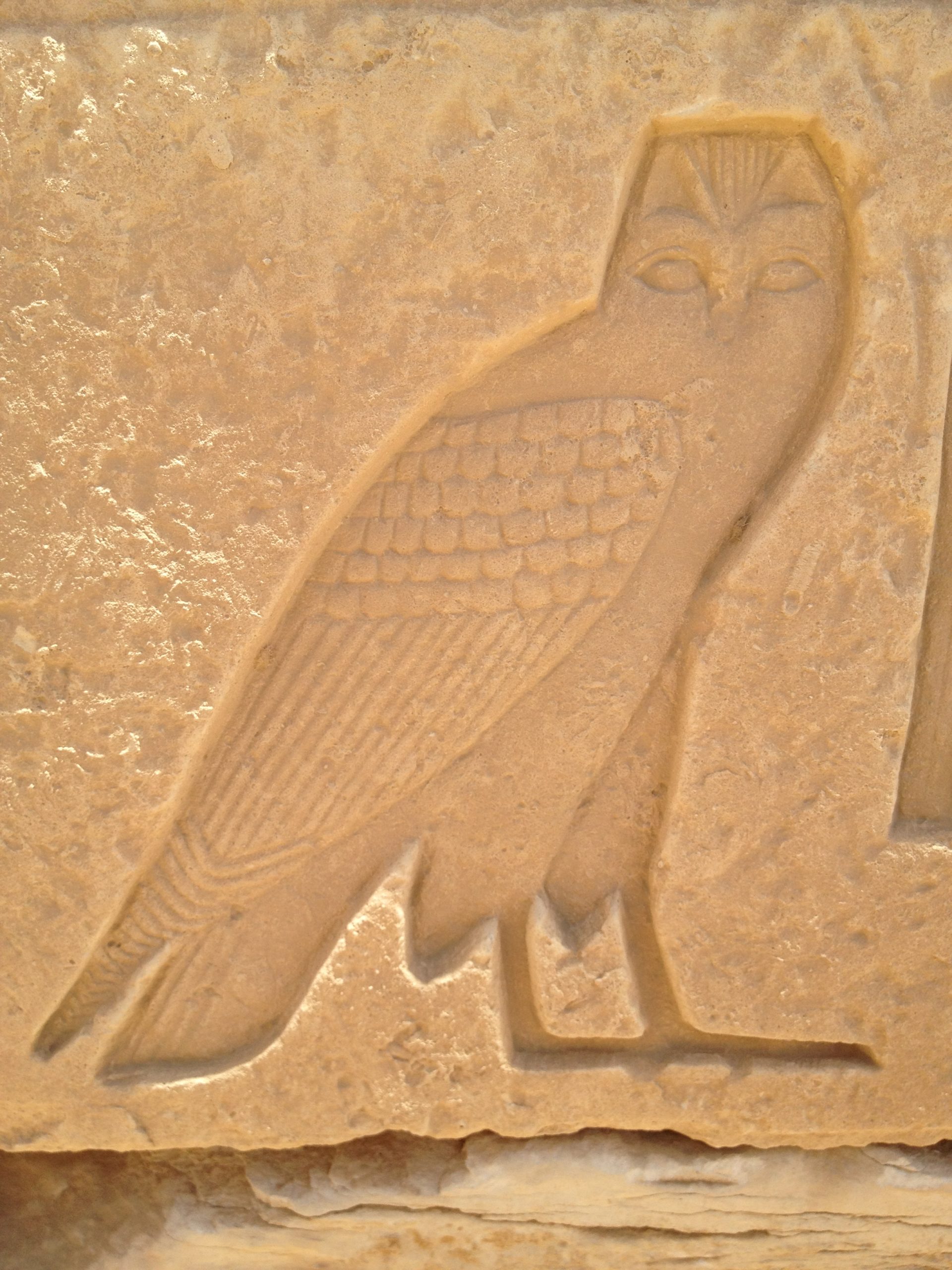 m owl hieroglyph